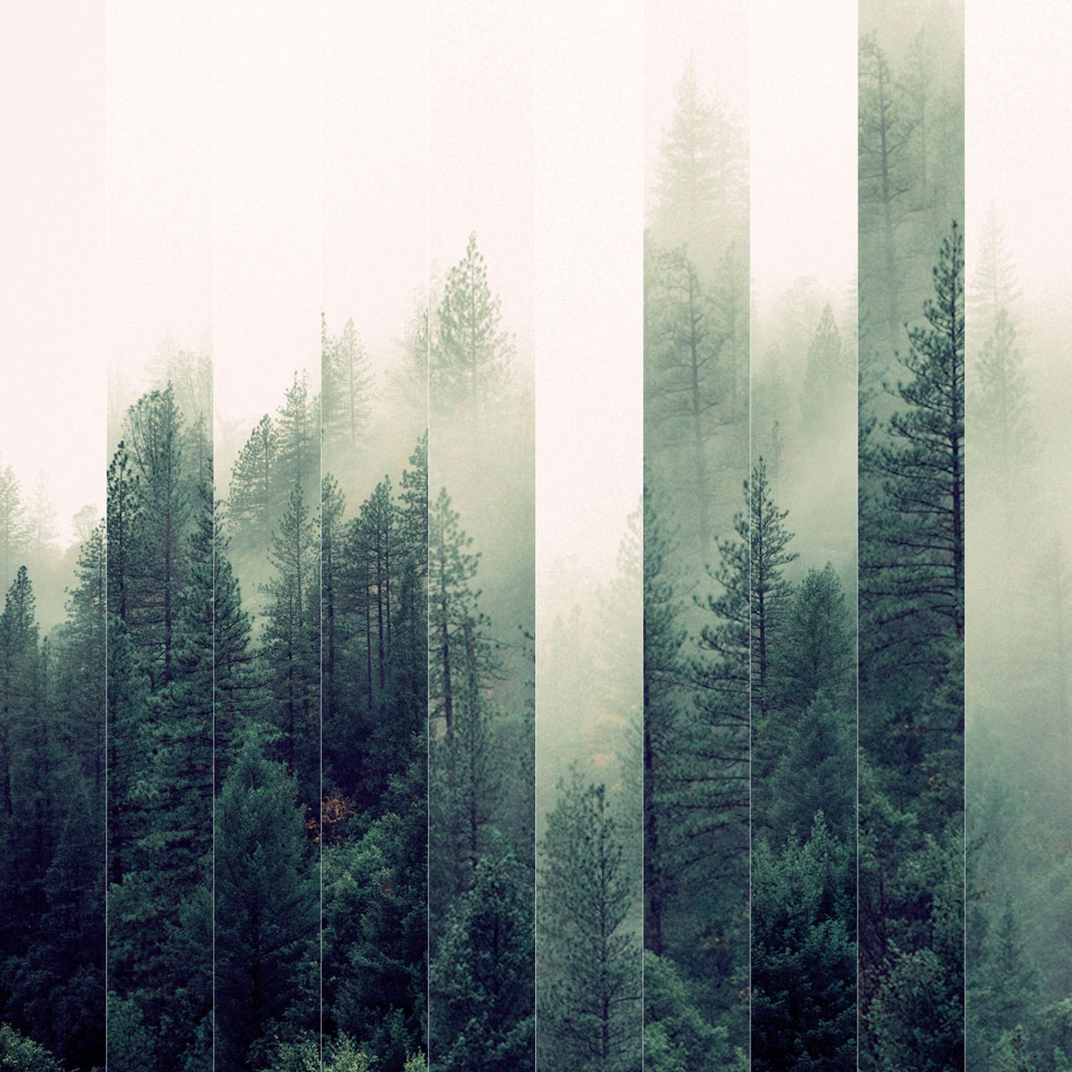 That Which is Not - The Basic Sharpness of Emotions - cover