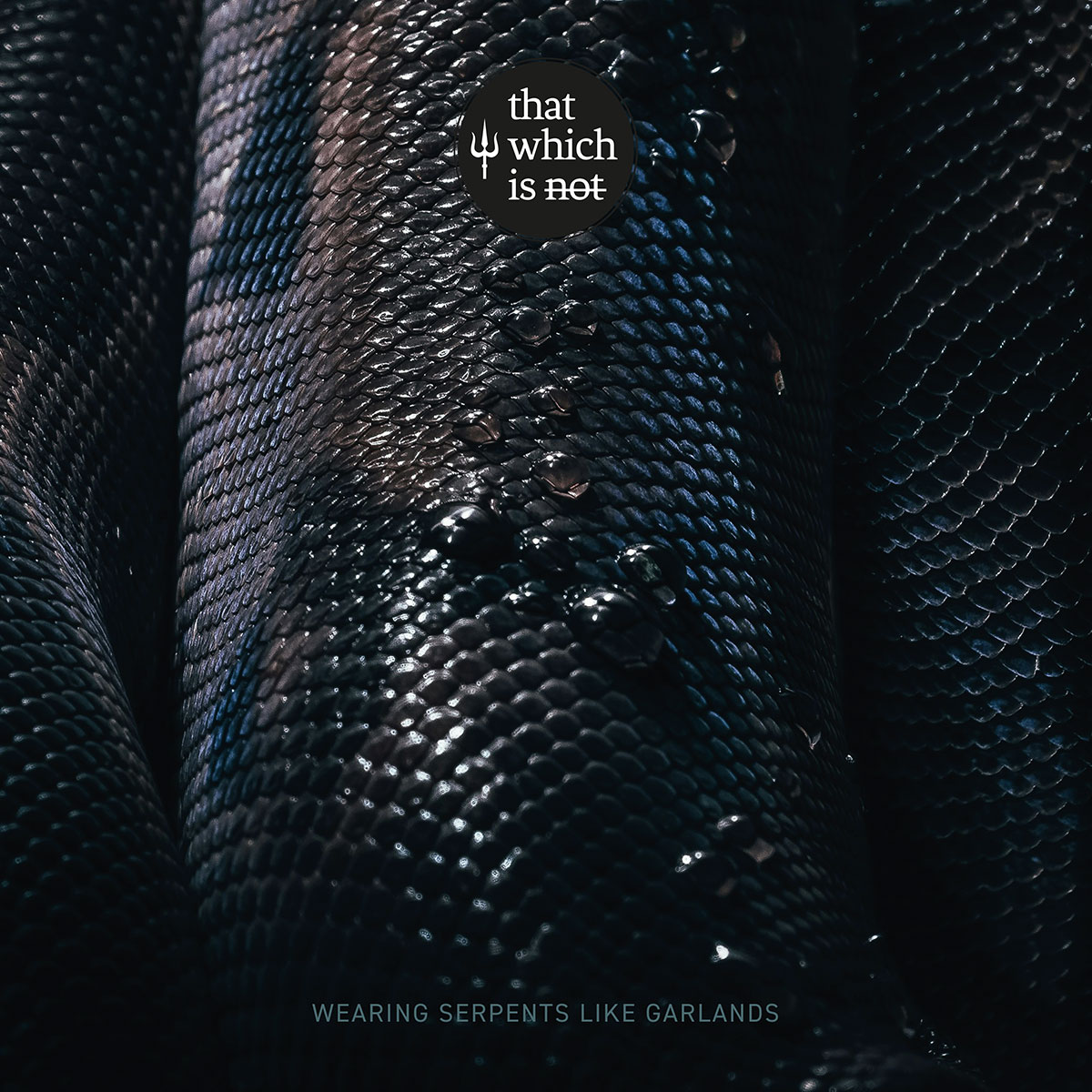 That Which is Not - Wearing Serpents Like Garlands - cover
