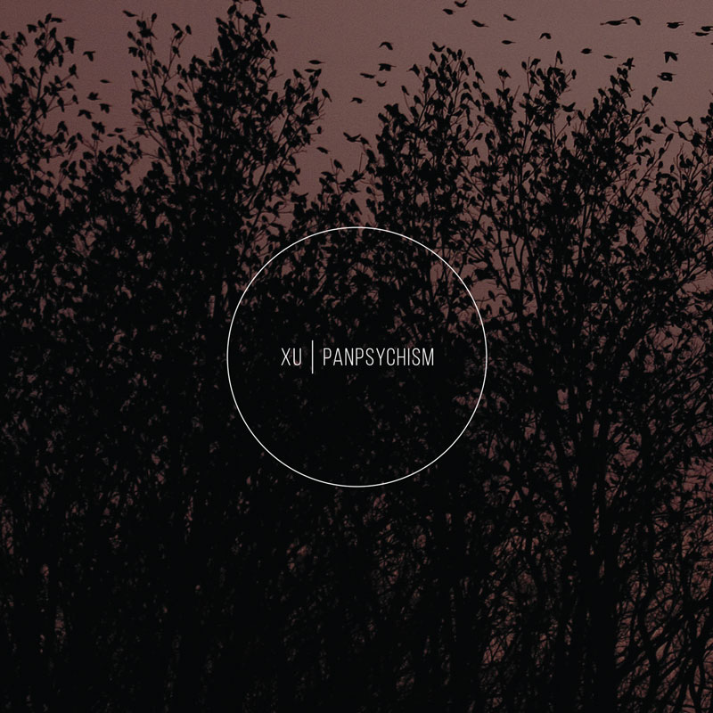 xu - panpsychism - cover